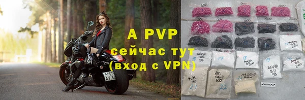mdpv Белокуриха