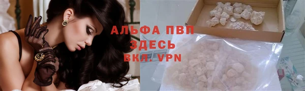 амф Беломорск