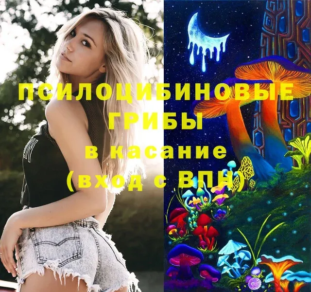 Псилоцибиновые грибы Psilocybe  mega зеркало  Волчанск 